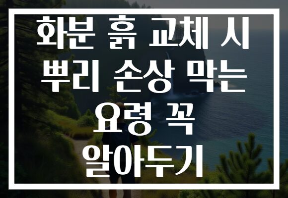 화분 흙 교체 시 뿌리 손상 막는 요령 꼭 알아두기