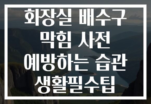 화장실 배수구 막힘 사전 예방하는 습관 생활필수팁