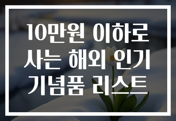 10만원 이하로 사는 해외 인기 기념품 리스트