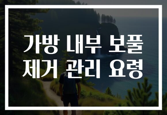 가방 내부 보풀 제거 관리 요령
