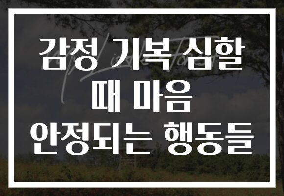 감정 기복 심할 때 마음 안정되는 행동들