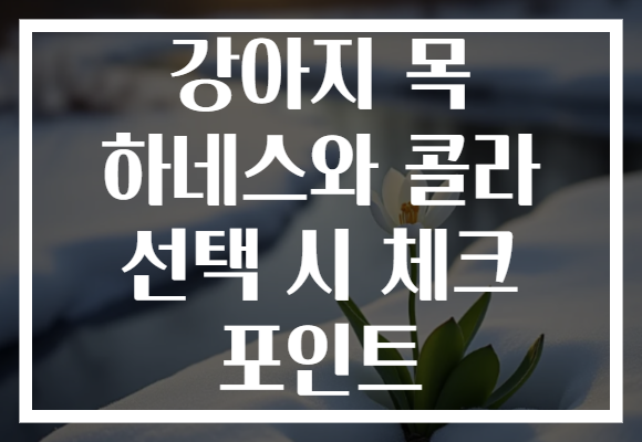 강아지 목 하네스와 콜라 선택 시 체크 포인트