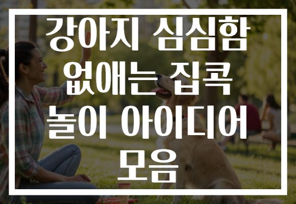 강아지 심심함 없애는 집콕 놀이 아이디어 모음