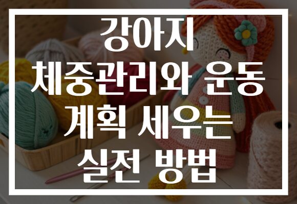 강아지 체중관리와 운동 계획 세우는 실전 방법