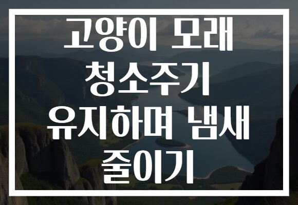 고양이 모래 청소주기 유지하며 냄새 줄이기