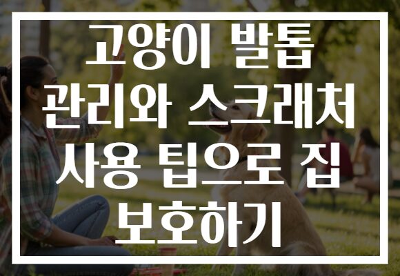 고양이 발톱 관리와 스크래처 사용 팁으로 집 보호하기