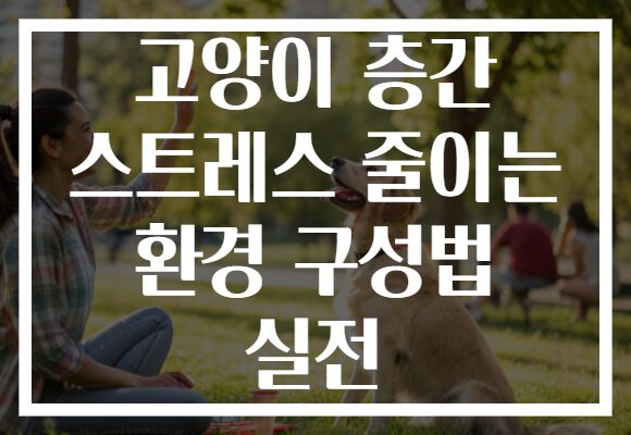 고양이 층간 스트레스 줄이는 환경 구성법 실전