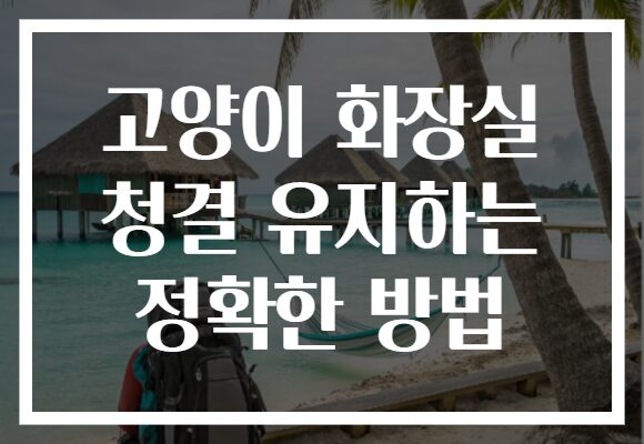 고양이 화장실 청결 유지하는 정확한 방법