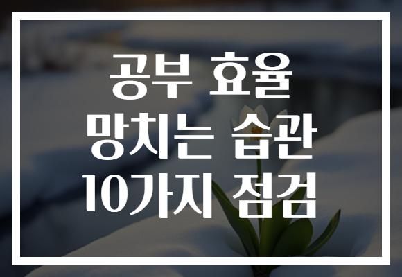 공부 효율 망치는 습관 10가지 점검
