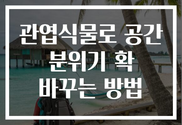 관엽식물로 공간 분위기 확 바꾸는 방법