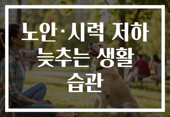 노안·시력 저하 늦추는 생활 습관
