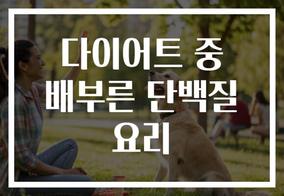 다이어트 중 배부른 단백질 요리