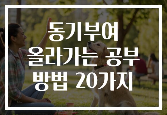 동기부여 올라가는 공부 방법 20가지