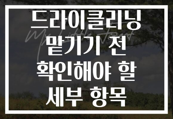 드라이클리닝 맡기기 전 확인해야 할 세부 항목