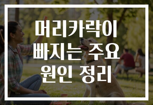 머리카락이 빠지는 주요 원인 정리