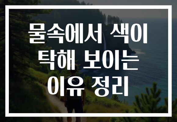 물속에서 색이 탁해 보이는 이유 정리