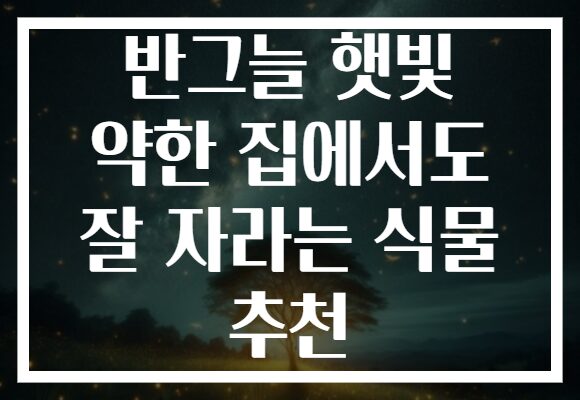 반그늘 햇빛 약한 집에서도 잘 자라는 식물 추천