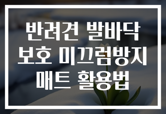 반려견 발바닥 보호 미끄럼방지 매트 활용법