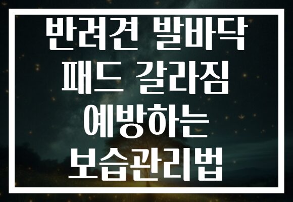 반려견 발바닥 패드 갈라짐 예방하는 보습관리법
