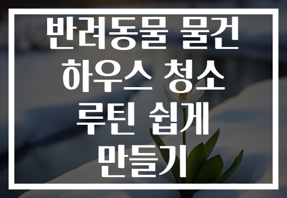 반려동물 물건 하우스 청소 루틴 쉽게 만들기