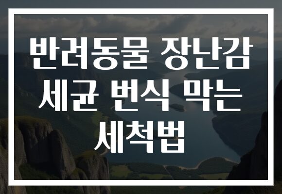 반려동물 장난감 세균 번식 막는 세척법