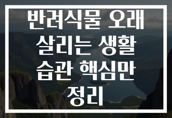 반려식물 오래 살리는 생활 습관 핵심만 정리