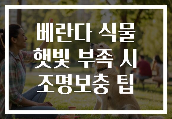 베란다 식물 햇빛 부족 시 조명보충 팁