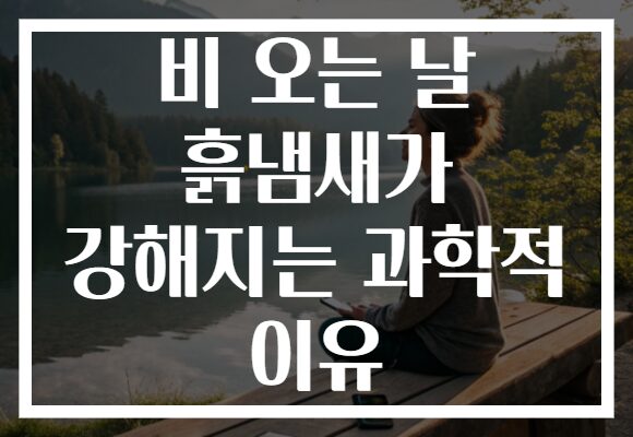 비 오는 날 흙냄새가 강해지는 과학적 이유