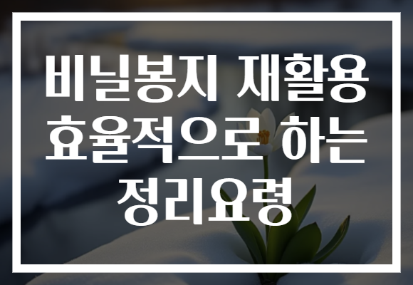 비닐봉지 재활용 효율적으로 하는 정리요령