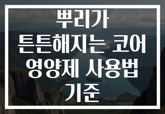 뿌리가 튼튼해지는 코어 영양제 사용법 기준