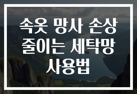 속옷 망사 손상 줄이는 세탁망 사용법
