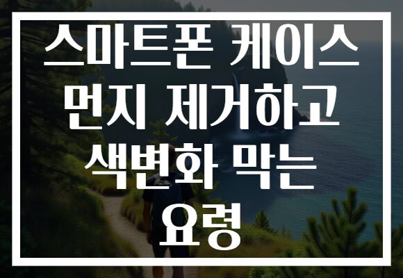 스마트폰 케이스 먼지 제거하고 색변화 막는 요령