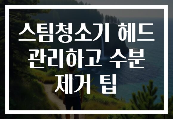 스팀청소기 헤드 관리하고 수분 제거 팁