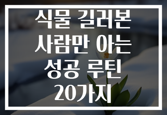식물 길러본 사람만 아는 성공 루틴 20가지