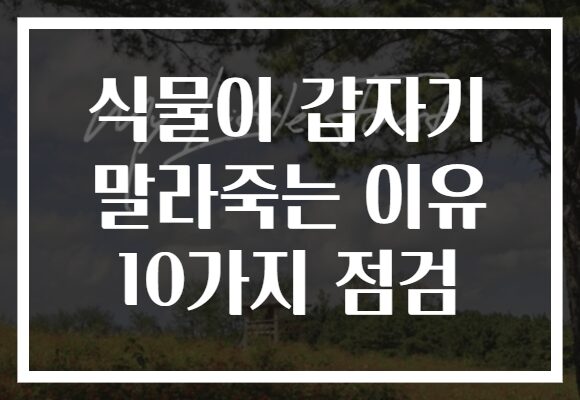식물이 갑자기 말라죽는 이유 10가지 점검