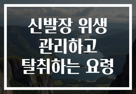 신발장 위생 관리하고 탈취하는 요령