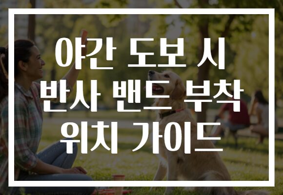 야간 도보 시 반사 밴드 부착 위치 가이드