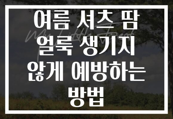 여름 셔츠 땀 얼룩 생기지 않게 예방하는 방법
