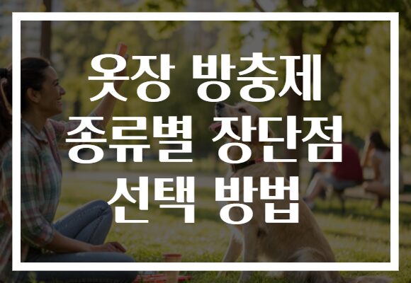 옷장 방충제 종류별 장단점 선택 방법