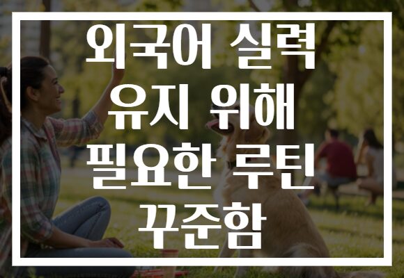 외국어 실력 유지 위해 필요한 루틴 꾸준함