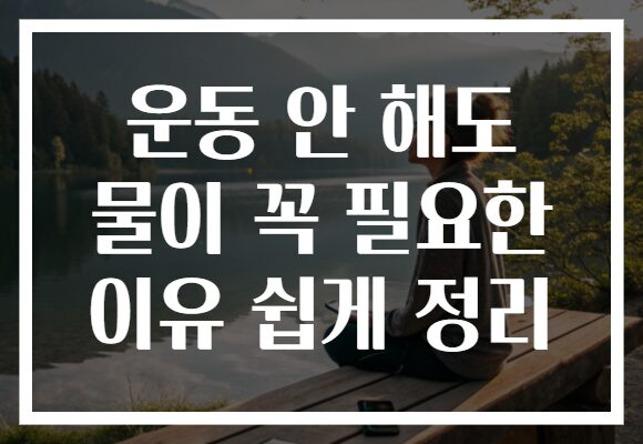 운동 안 해도 물이 꼭 필요한 이유 쉽게 정리