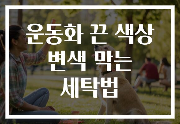 운동화 끈 색상 변색 막는 세탁법