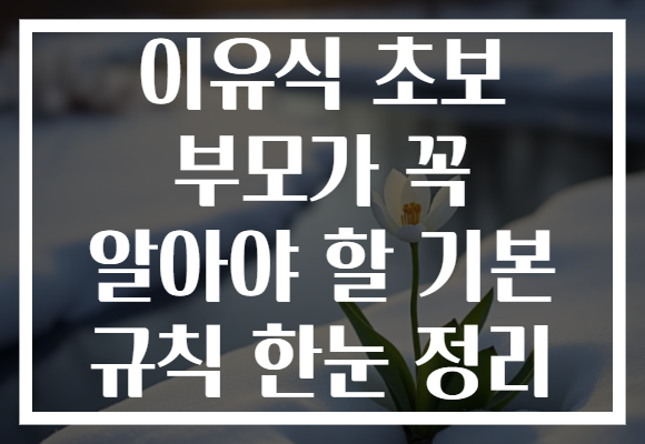 이유식 초보 부모가 꼭 알아야 할 기본 규칙 한눈 정리