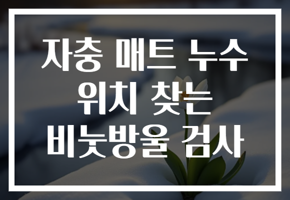 자충 매트 누수 위치 찾는 비눗방울 검사