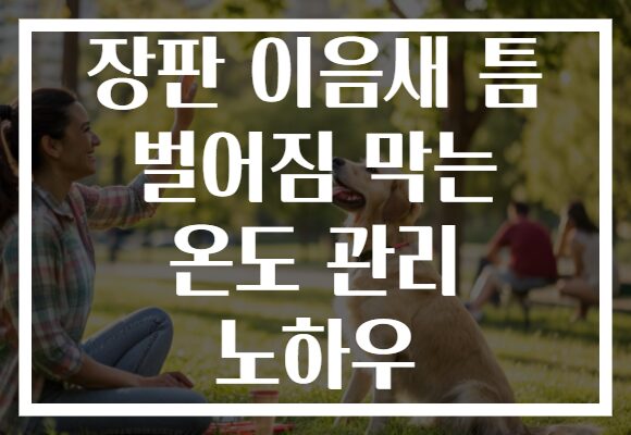 장판 이음새 틈 벌어짐 막는 온도 관리 노하우