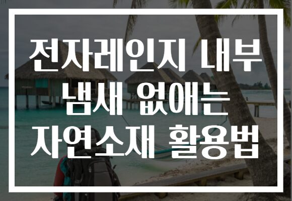 전자레인지 내부 냄새 없애는 자연소재 활용법
