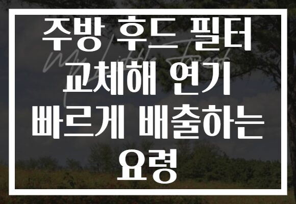 주방 후드 필터 교체해 연기 빠르게 배출하는 요령
