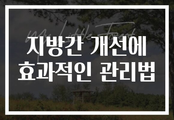 지방간 개선에 효과적인 관리법