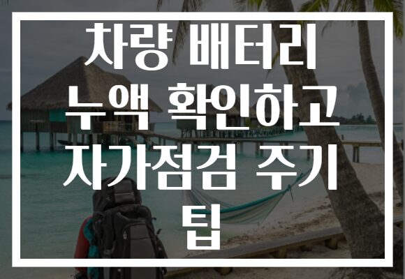 차량 배터리 누액 확인하고 자가점검 주기 팁