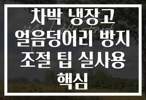 차박 냉장고 얼음덩어리 방지 조절 팁 실사용 핵심